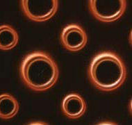 Liquid Glass Orange Circles 